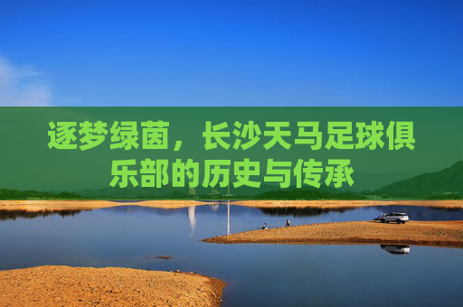 逐梦绿茵,长沙天马足球俱乐部的历史与传承