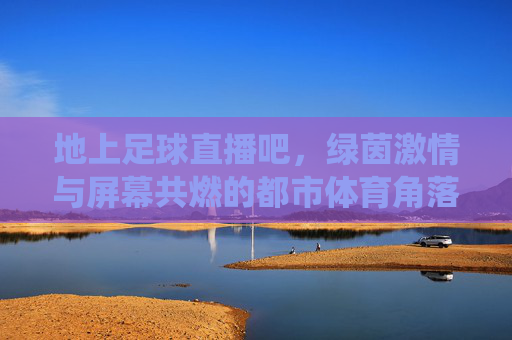 地上足球直播吧,绿茵激情与屏幕共燃的都市体育角落——不止是看球,更是情怀的栖息地