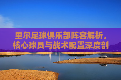 里尔足球俱乐部阵容解析，核心球员与战术配置深度剖析，里尔足球俱乐部阵容解析，核心球员与战术配置深度剖析