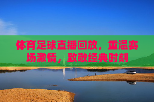 体育足球直播回放,重温赛场激情,致敬经典时刻