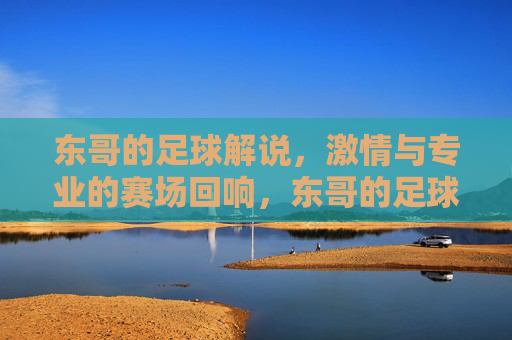东哥的足球解说，激情与专业的赛场回响，东哥的足球解说，激情与专业的赛场回响