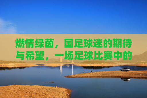 燃情绿茵,国足球迷的期待与希望,一场足球比赛中的家国情怀与体育精神