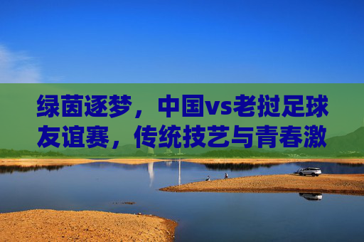 绿茵逐梦,中国vs老挝足球友谊赛,传统技艺与青春激情的交融