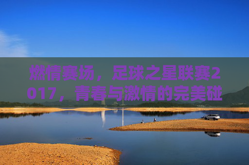 燃情赛场,足球之星联赛2017,青春与激情的完美碰撞