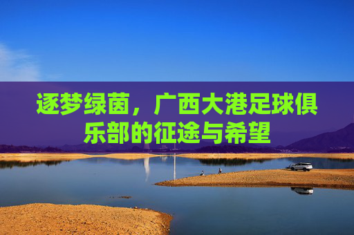逐梦绿茵,广西大港足球俱乐部的征途与希望