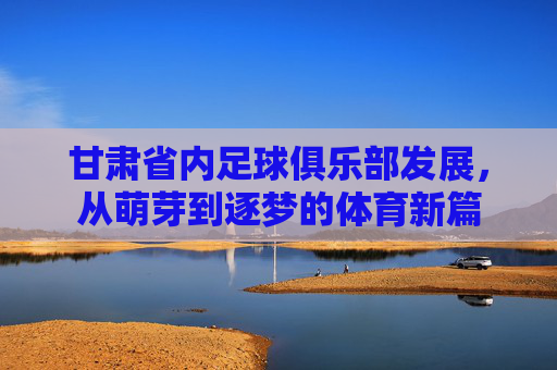 甘肃省内足球俱乐部发展,从萌芽到逐梦的体育新篇