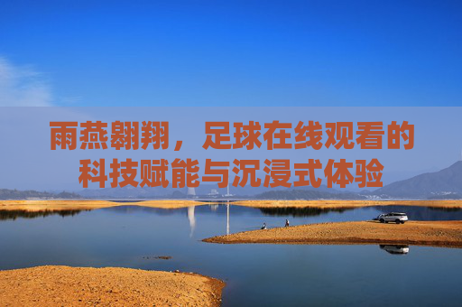 雨燕翱翔,足球在线观看的科技赋能与沉浸式体验
