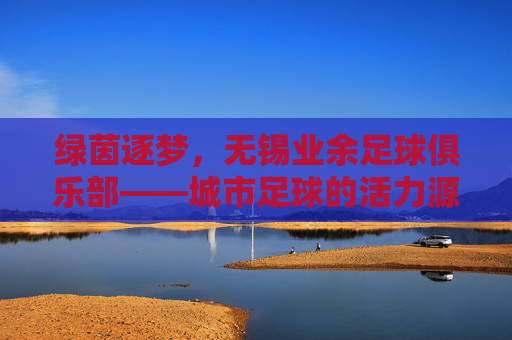 绿茵逐梦,无锡业余足球俱乐部——城市足球的活力源泉与社区精神纽带