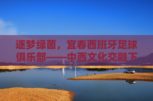 逐梦绿茵,宜春西班牙足球俱乐部——中西文化交融下的足球新篇章