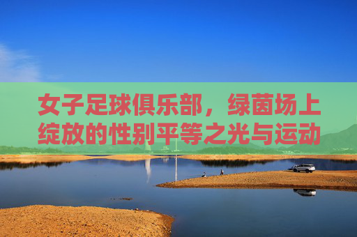 女子足球俱乐部,绿茵场上绽放的性别平等之光与运动力量,女子足球俱乐部,绿茵场上绽放的性别平等之光与运动力量