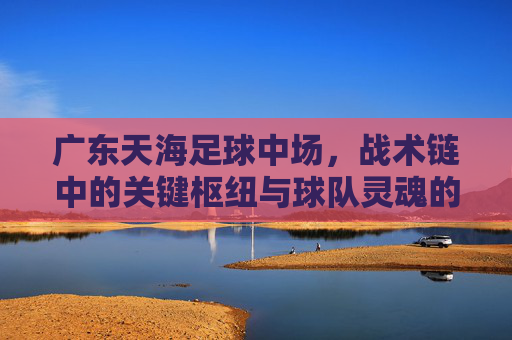广东天海足球中场,战术链中的关键枢纽与球队灵魂的传承者,广东天海足球中场,战术链中的关键枢纽与球队灵魂的传承者