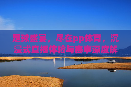 足球盛宴，尽在pp体育，沉浸式直播体验与赛事深度解析