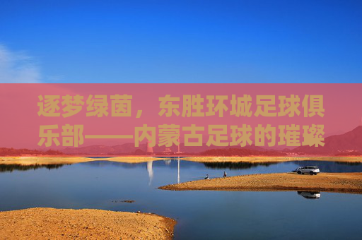 逐梦绿茵,东胜环城足球俱乐部——内蒙古足球的璀璨明珠与青春力量