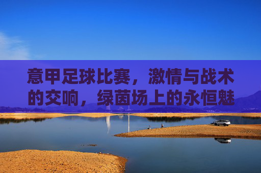 意甲足球比赛,激情与战术的交响,绿茵场上的永恒魅力,意甲足球,激情与战术的交响,绿茵场上的永恒魅力