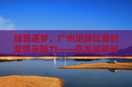 绿茵逐梦，广州足球比赛的激情与魅力——在羊城看球，感受足球的温度与城市的活力，绿茵逐梦，广州足球比赛的激情与魅力——在羊城看球，感受足球的温度与城市的活力