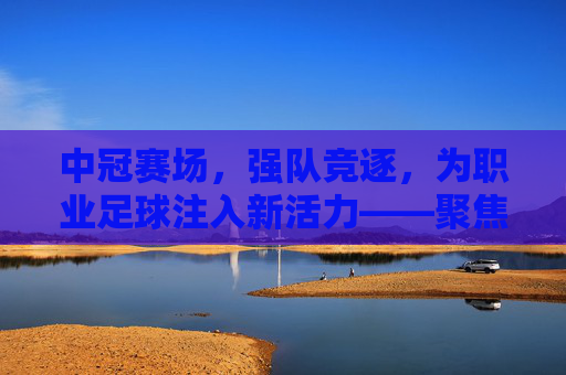 中冠赛场，强队竞逐，为职业足球注入新活力——聚焦中冠联赛中的强队力量，中冠赛场强队竞逐 为职业足球注入新活力——聚焦中冠联赛中的强队力量