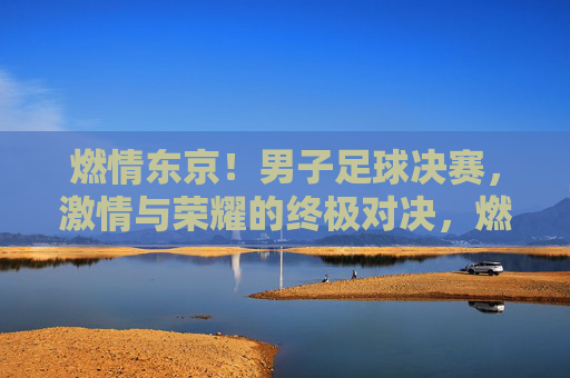 燃情东京！男子足球决赛，激情与荣耀的终极对决，燃情东京！男子足球决赛，激情与荣耀的终极对决