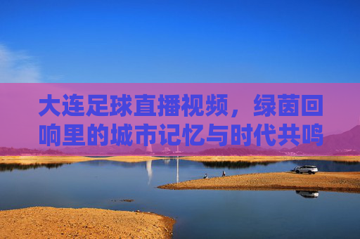 大连足球直播视频，绿茵回响里的城市记忆与时代共鸣，大连足球直播视频，绿茵回响里的城市记忆与时代共鸣