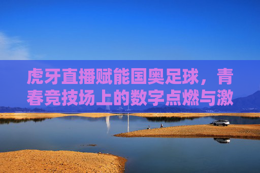 虎牙直播赋能国奥足球,青春竞技场上的数字点燃与激情传递,虎牙直播赋能国奥足球,青春竞技场上的数字点燃与激情传递