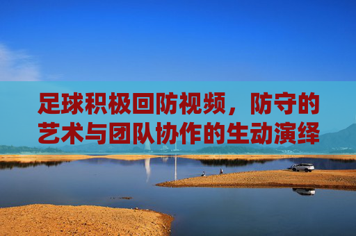 足球积极回防视频,防守的艺术与团队协作的生动演绎,足球积极回防,防守的艺术与团队协作的生动演绎