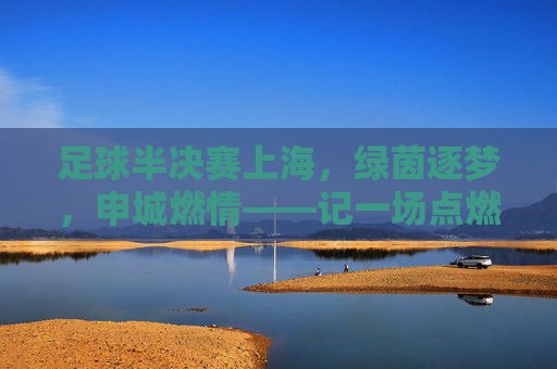 足球半决赛上海，绿茵逐梦，申城燃情——记一场点燃城市热情的巅峰对决，足球半决赛上海，绿茵逐梦，申城燃情——记一场点燃城市热情的巅峰对决