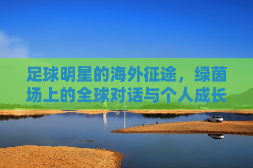 足球明星的海外征途,绿茵场上的全球对话与个人成长