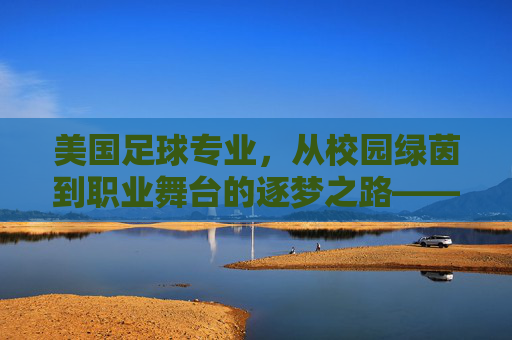 美国足球专业,从校园绿茵到职业舞台的逐梦之路——解析NCAA体系与职业发展的衔接