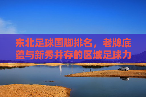 东北足球国脚排名,老牌底蕴与新秀并存的区域足球力量,东北足球国脚排名,老牌底蕴与新秀并存的区域足球力量