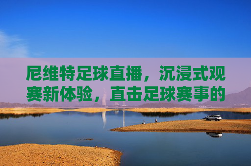 尼维特足球直播，沉浸式观赛新体验，直击足球赛事的精彩瞬间