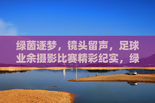 绿茵逐梦,镜头留声,足球业余摄影比赛精彩纪实,绿茵逐梦,镜头留声,足球业余摄影比赛精彩纪实