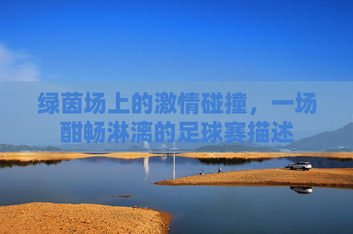 绿茵场上的激情碰撞，一场酣畅淋漓的足球赛描述