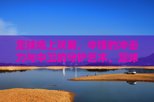 足球场上双翼，中锋的冲击力与中卫的守护艺术，足球场上双翼，中锋的冲击力与中卫的守护艺术