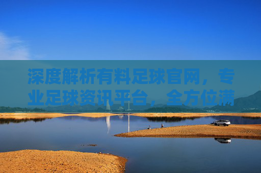 深度解析有料足球官网，专业足球资讯平台，全方位满足球迷足球需求，深度解析有料足球官网，专业足球资讯平台，全方位满足球迷足球需求