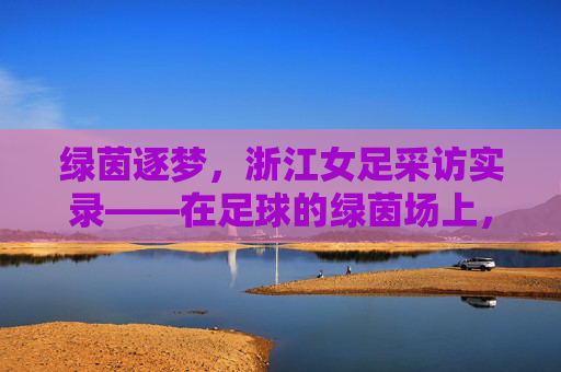 绿茵逐梦，浙江女足采访实录——在足球的绿茵场上，书写新时代的巾帼荣光，绿茵逐梦，浙江女足采访实录——在足球的绿茵场上，书写新时代的巾帼荣光