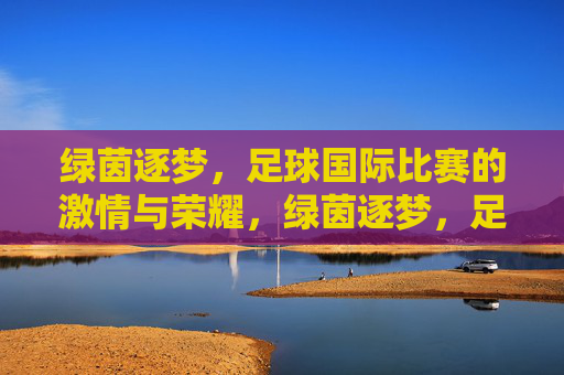 绿茵逐梦,足球国际比赛的激情与荣耀,绿茵逐梦,足球国际比赛的激情与荣耀