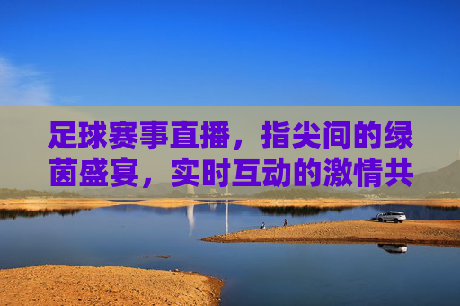 足球赛事直播，指尖间的绿茵盛宴，实时互动的激情共鸣——解析现代足球直播的魅力与价值，足球赛事直播，指尖间的绿茵盛宴，实时互动的激情共鸣——解析现代足球直播的魅力与价值