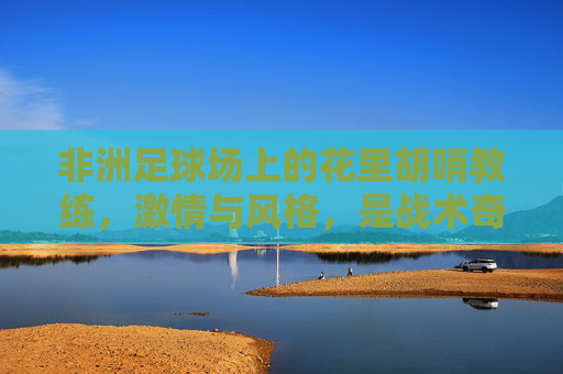 非洲足球场上的花里胡哨教练,激情与风格,是战术奇招还是文化烙印?非洲足球场上的花里胡哨教练,激情与风格,是战术奇招还是文化烙印?