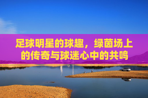 足球明星的球趣，绿茵场上的传奇与球迷心中的共鸣