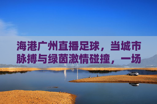 海港广州直播足球,当城市脉搏与绿茵激情碰撞,一场属于羊城的足球盛宴