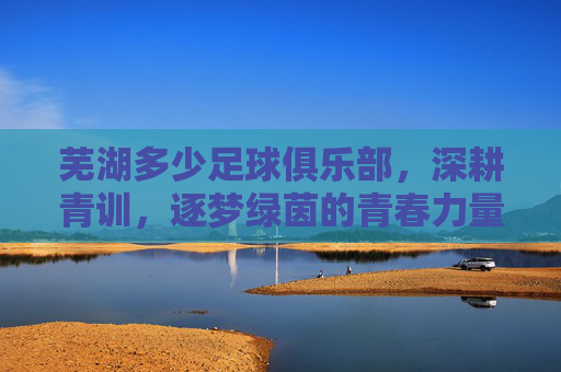 芜湖多少足球俱乐部，深耕青训，逐梦绿茵的青春力量，芜湖多少足球俱乐部，深耕青训，逐梦绿茵的青春力量