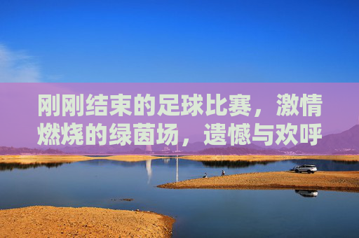 刚刚结束的足球比赛,激情燃烧的绿茵场,遗憾与欢呼交织的瞬间
