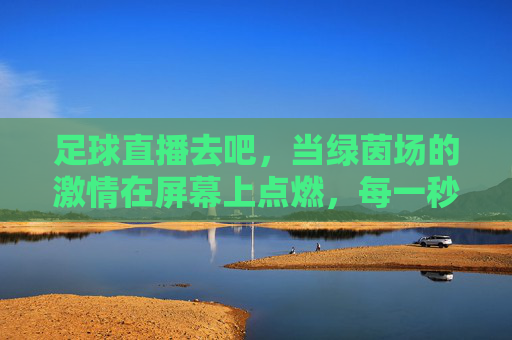 足球直播去吧,当绿茵场的激情在屏幕上点燃,每一秒都值得全力以赴,足球直播,绿茵激情点燃,每一秒都值得全力以赴
