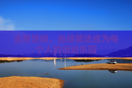 全民足球,当绿茵场成为每个人的运动乐园