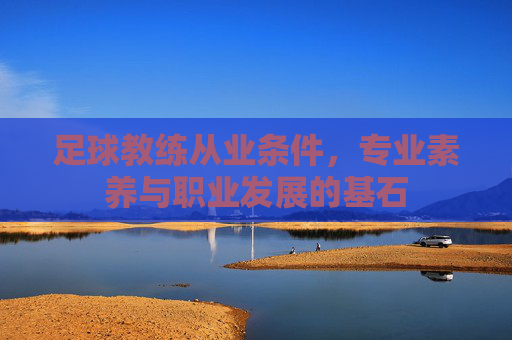 足球教练从业条件，专业素养与职业发展的基石