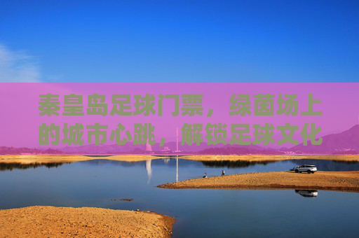 秦皇岛足球门票，绿茵场上的城市心跳，解锁足球文化新体验，秦皇岛足球门票，绿茵场上的城市心跳，解锁足球文化新体验