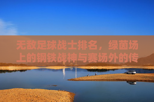 无敌足球战士排名,绿茵场上的钢铁战神与赛场外的传奇