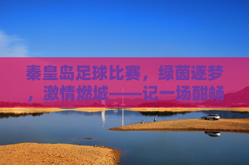 秦皇岛足球比赛，绿茵逐梦，激情燃城——记一场酣畅淋漓的足球盛宴，秦皇岛足球比赛，绿茵逐梦，激情燃城——记一场酣畅淋漓的足球盛宴