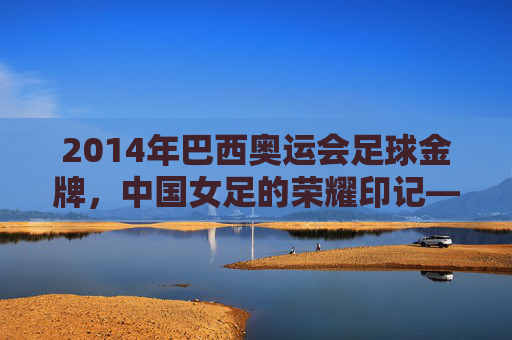 2014年巴西奥运会足球金牌,中国女足的荣耀印记——决战绿茵,铸就奥运巅峰