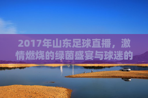 2017年山东足球直播,激情燃烧的绿茵盛宴与球迷的深度共鸣