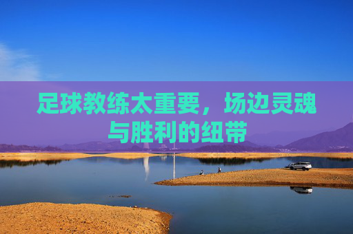 足球教练太重要,场边灵魂与胜利的纽带